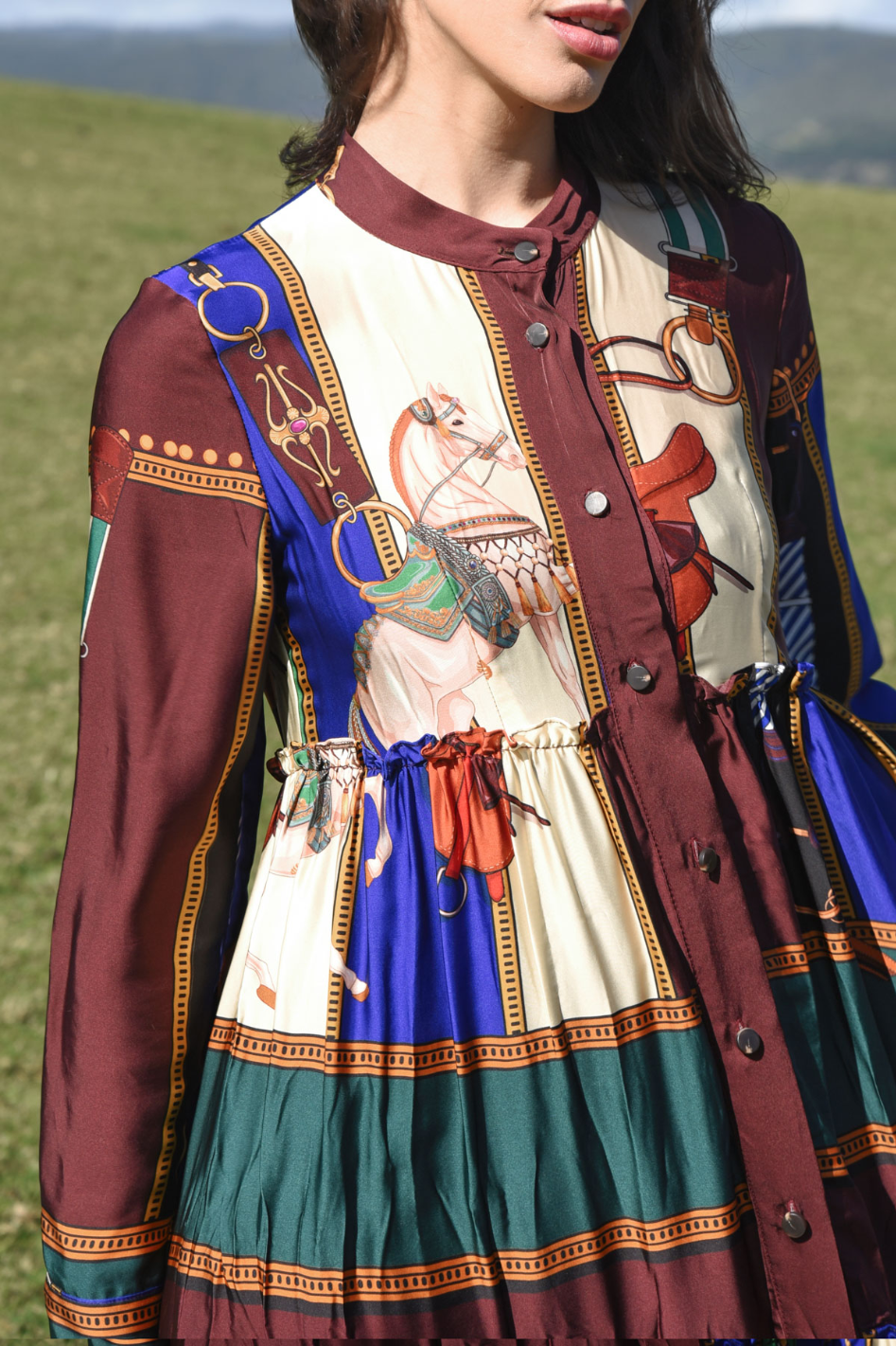 Cooper Dressing Game Dress The Mane Event by Trelise Cooper