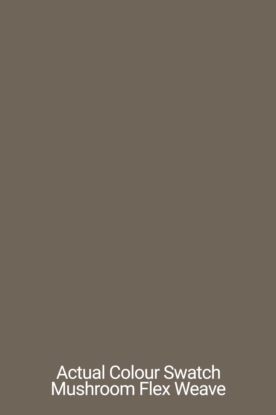 Mushroom Swatch