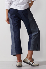 Load image into Gallery viewer, Zaket and Plover Denim Pant
