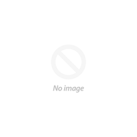 Kathy Earring Tort